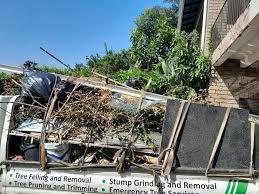 Best Commercial Junk Removal  in Lewes, DE